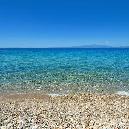 فيلة De Soleil *