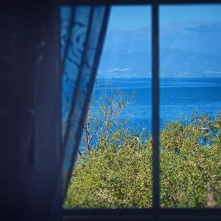 فيلة De Soleil *